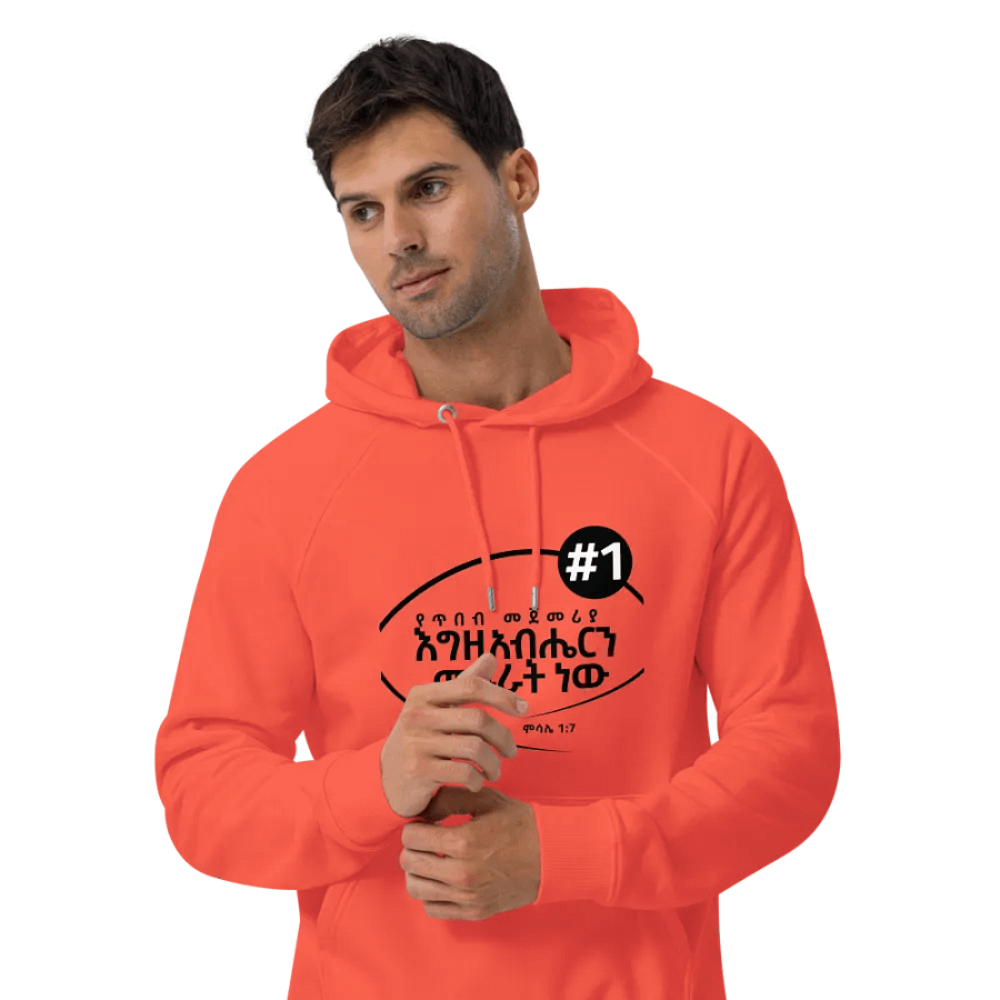 'Proverbs 1:7' Hoodie product image (11)