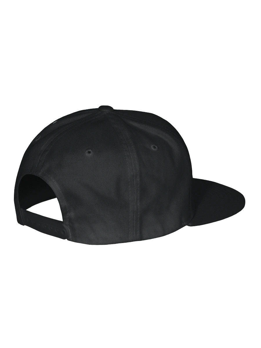 Stocktwits Snapback Hat product image (3)