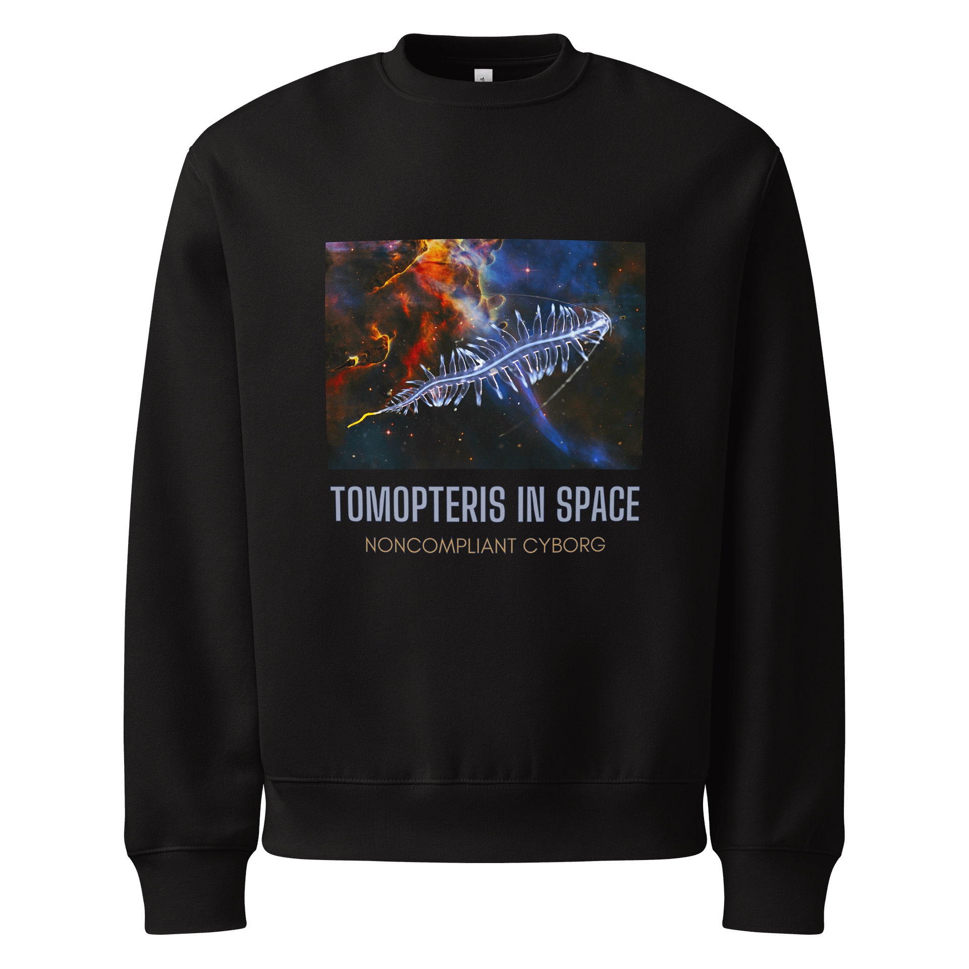 Tomopteris in Space Sweatshirt product image (1)