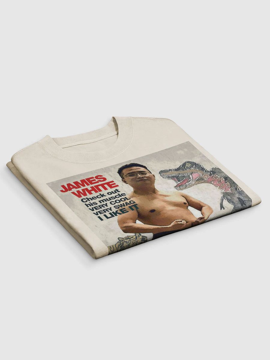 AS Colour Premium Oversized Faded T-Shirt: swag warrior product image (10)