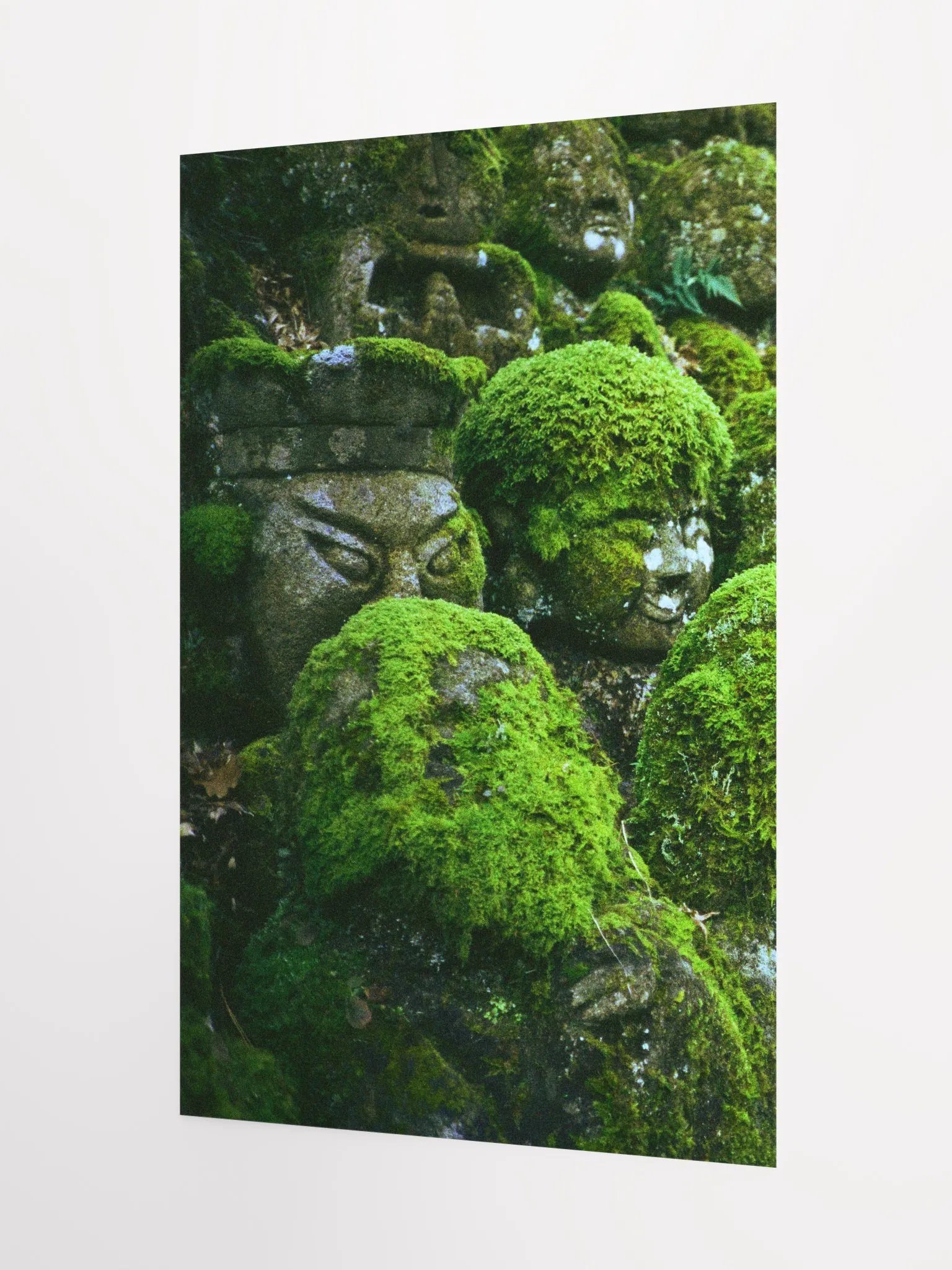 MOSSY BUDDHA (no frame) product image (3)