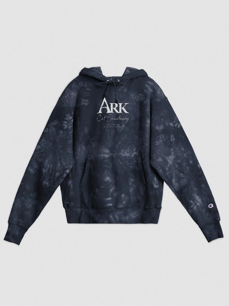 Ark Tie-Dye Champion Hoodie product image (2)