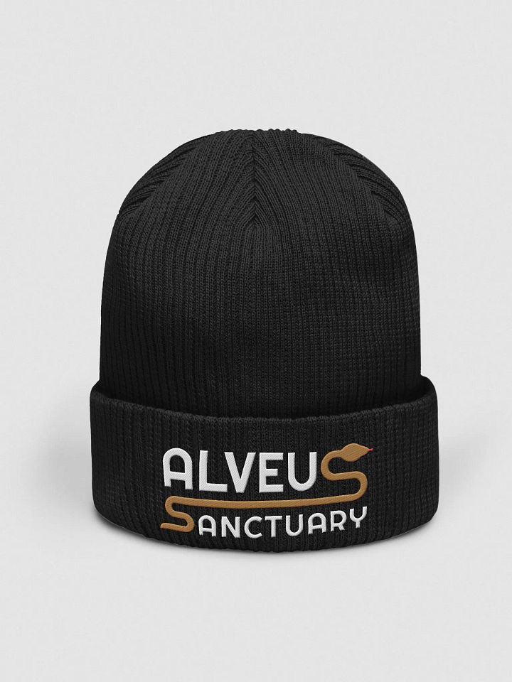 Noodle Beanie product image (1)