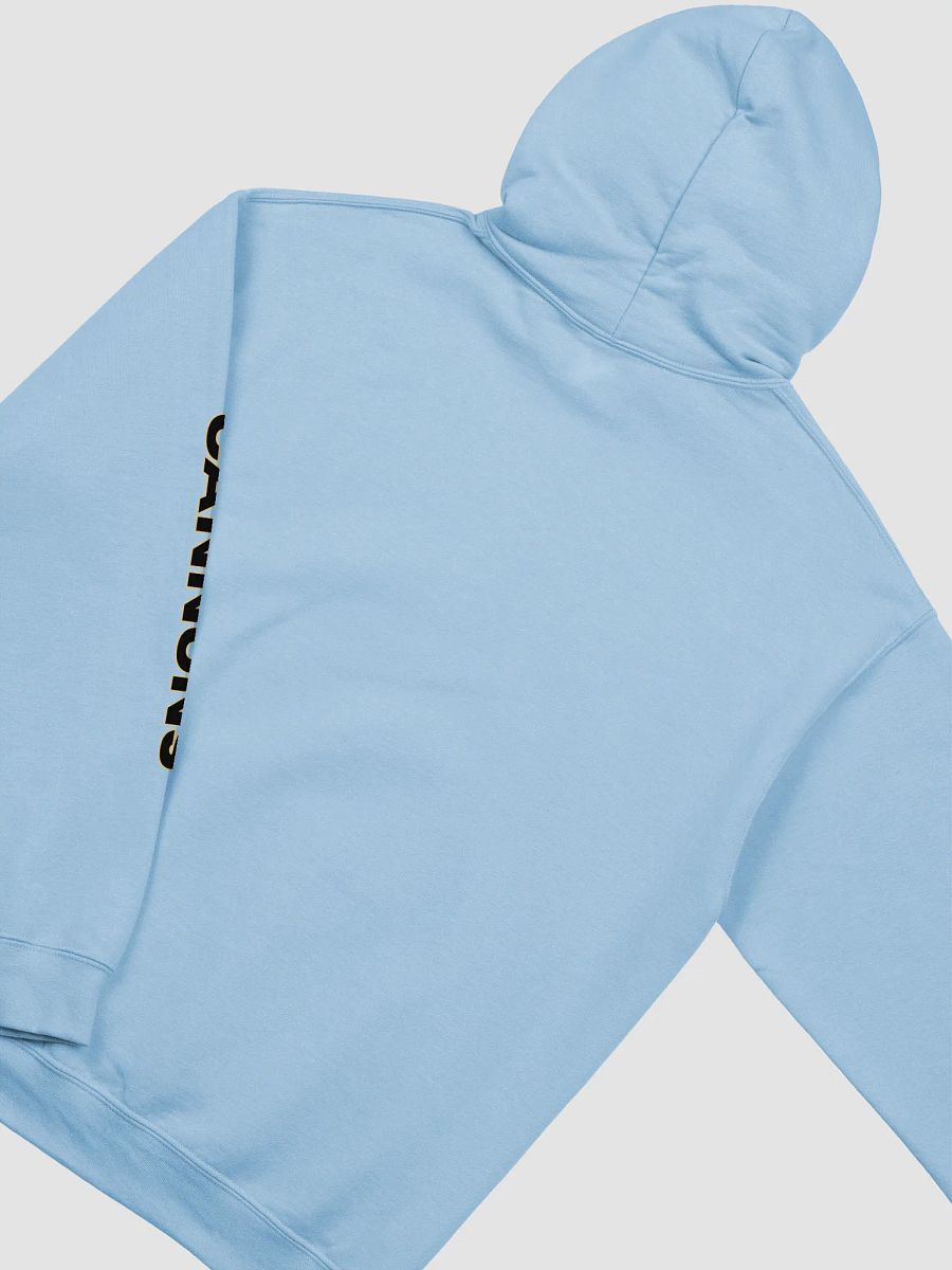Horchata Cannons Hoodie product image (22)