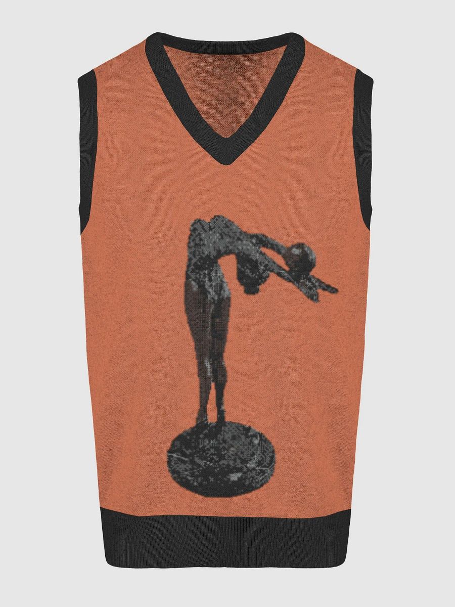 Sculpture Knit V-Neck Vest product image (3)
