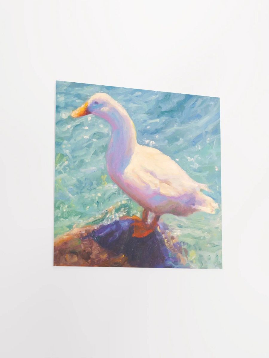 A DUCK product image (6)