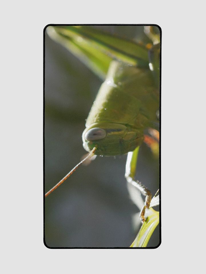 Grasshopper Desk Mat product image (2)