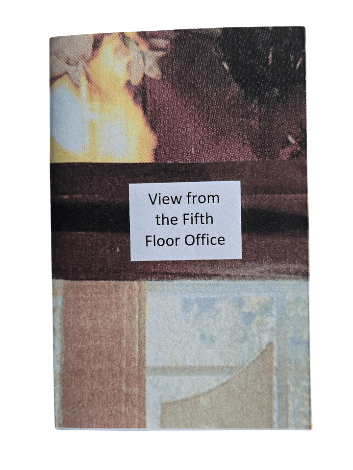 View From the Fifth Floor Office — zine product image (1)