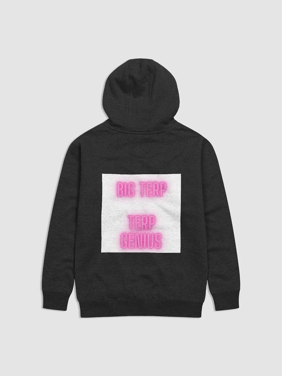 terptwinzhoodie product image (2)
