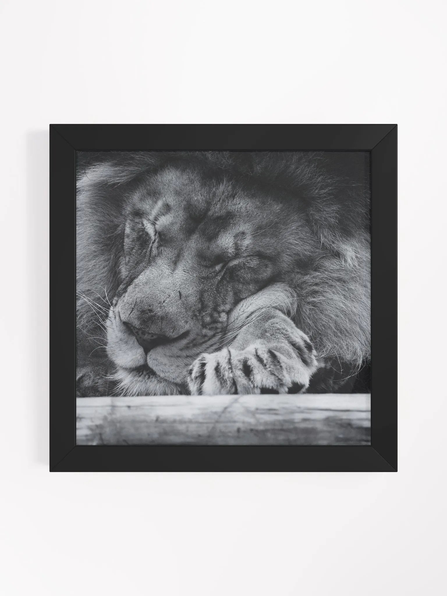 The Sleeping King product image (6)