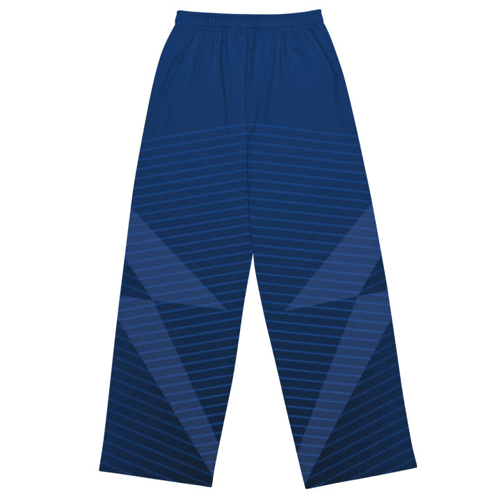 Urban Edge Wide Leg Blue Unisex Pants product image (2)