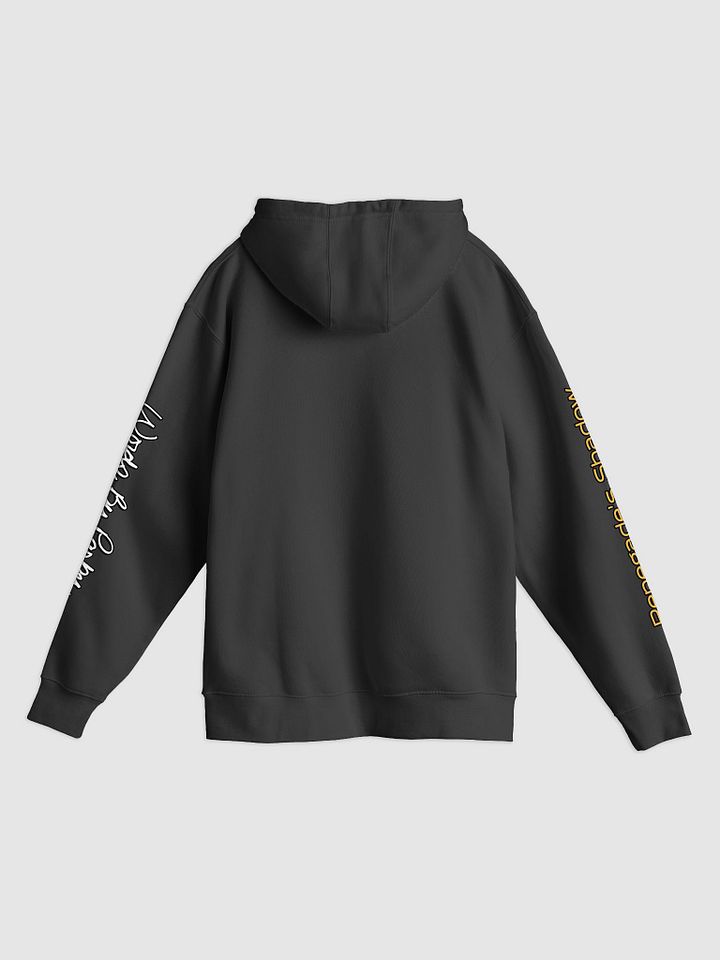Raven's Landing Hoodie with Sleeve Art product image (2)