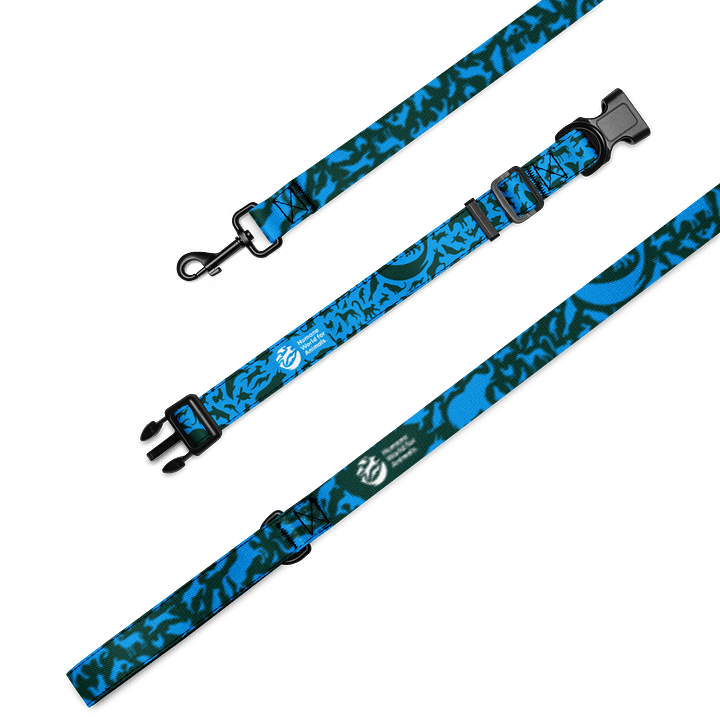 Animal Print Pet leash and collar set product image (2)