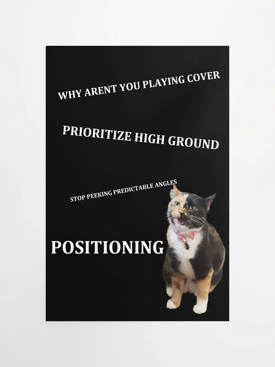 Tips from Coach Lyra Poster product image (12)