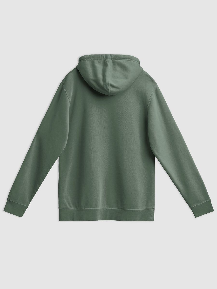 hyperverbal (comic sans, #ABC4A2) printed pigment dyed hoodie product image (2)
