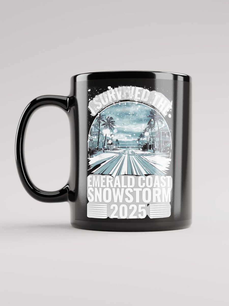 I survived the Emerald Coast Snowstorm 2025 Mug product image (11)