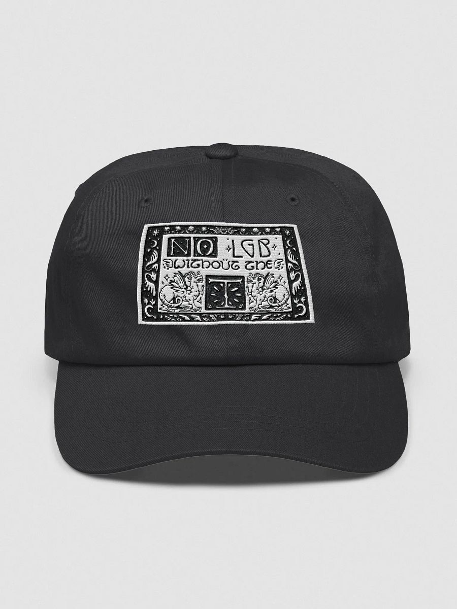 no LGB without the T product image (4)