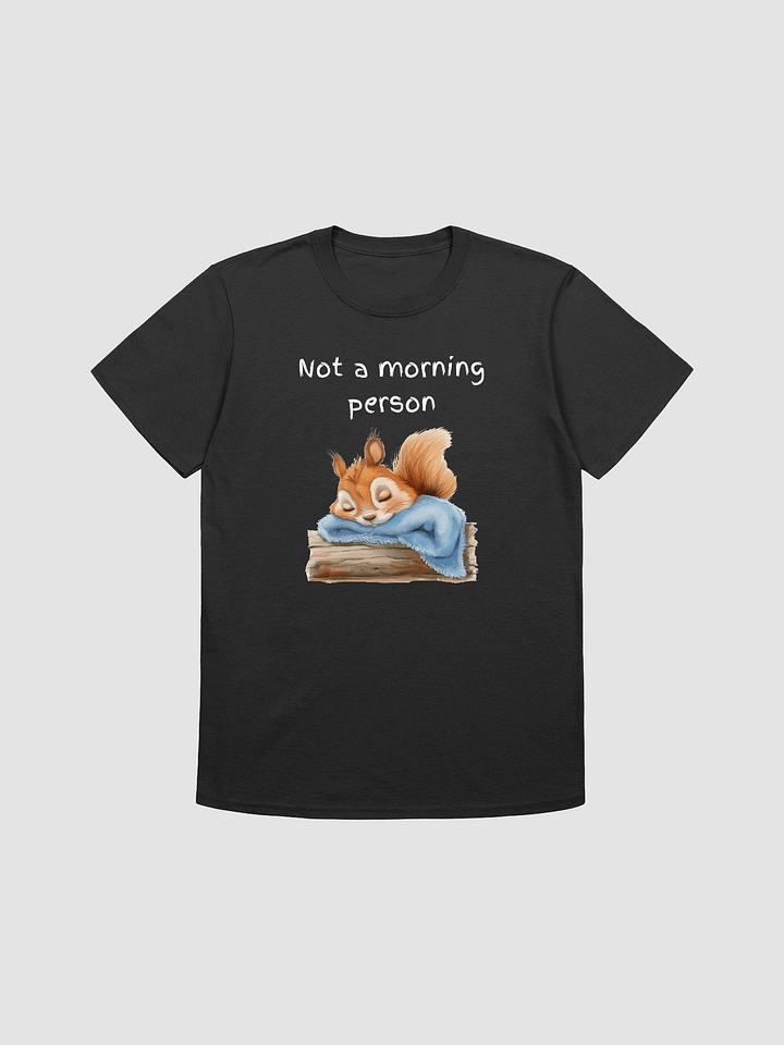 T24007 Not A Morning Person product image (1)