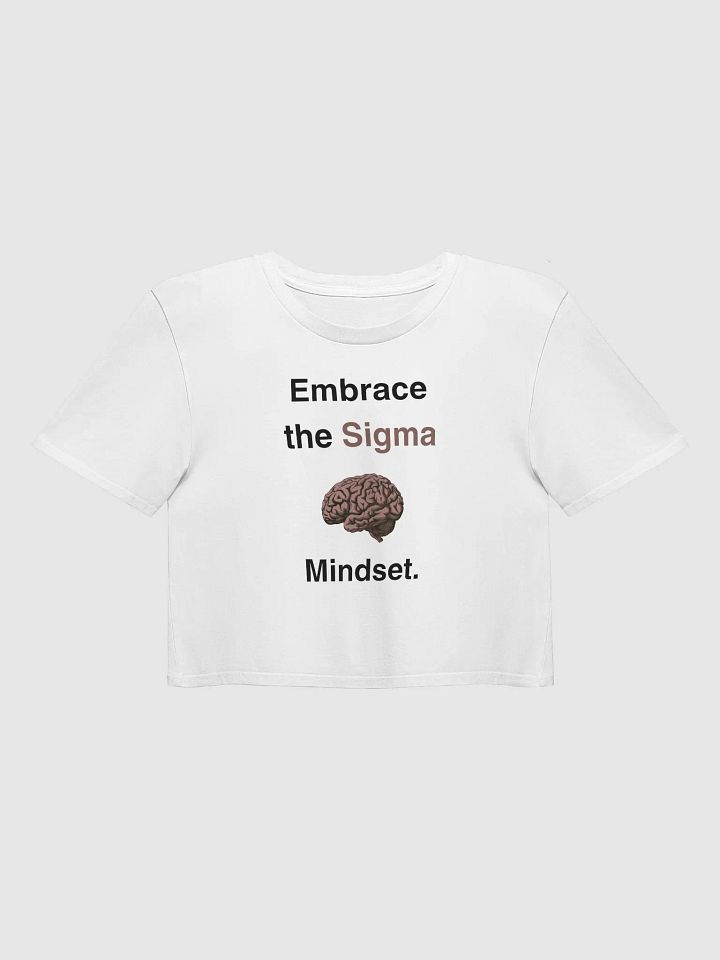 Embrace the Sigma Mindset product image (1)