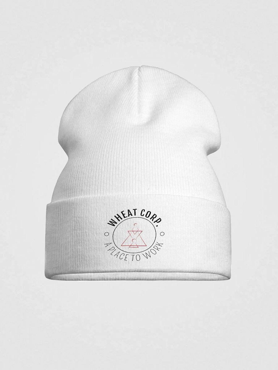 Generic Beanie product image (2)