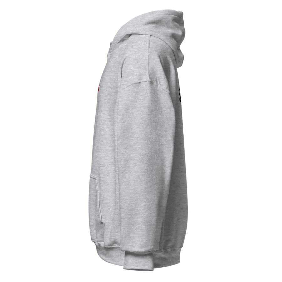 CTRL Custom Hoodie product image (68)
