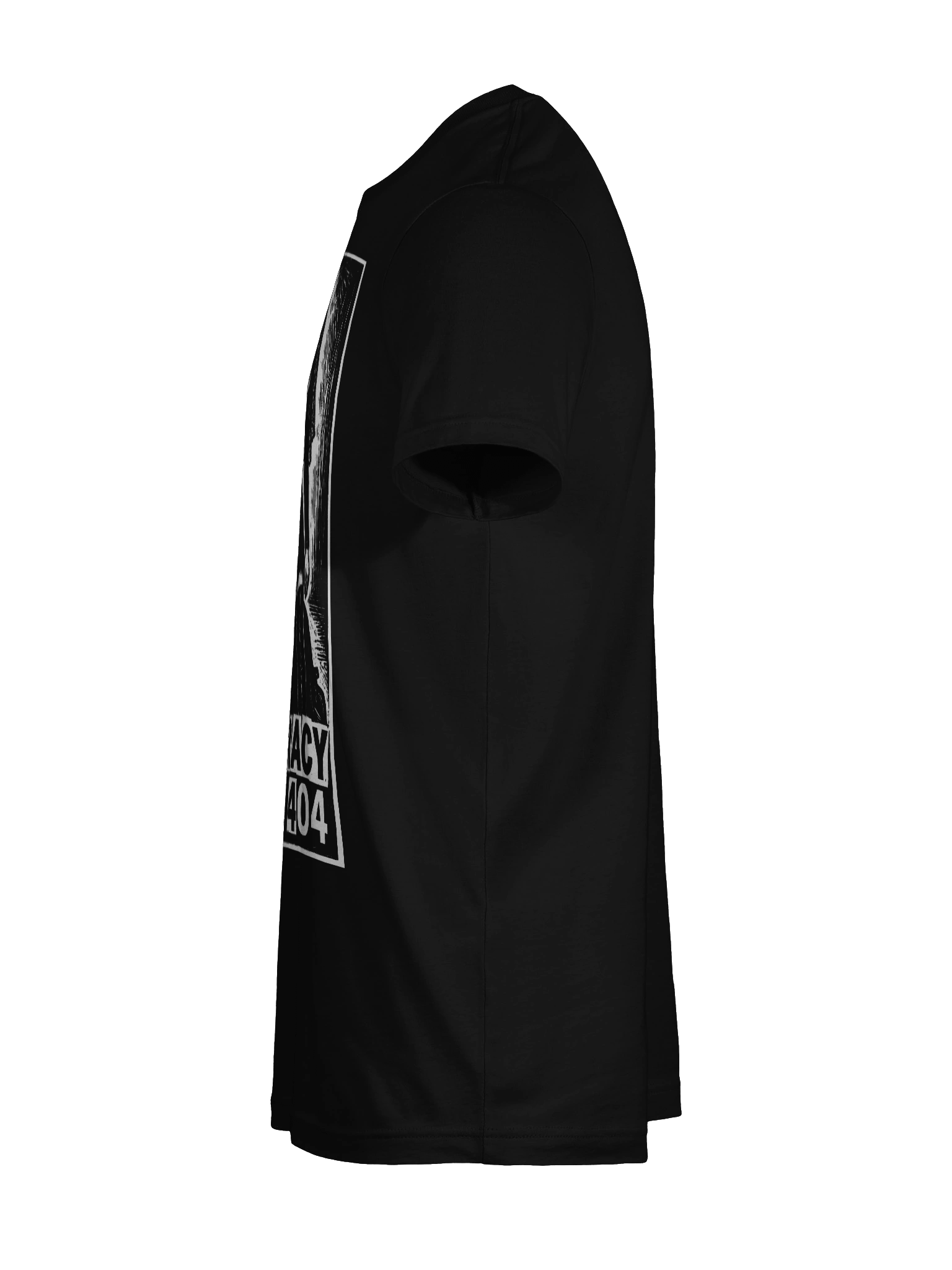 Democracy Error 404 product image (76)
