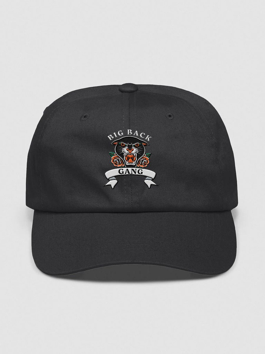 BIG BACK GANG (hat) product image (1)