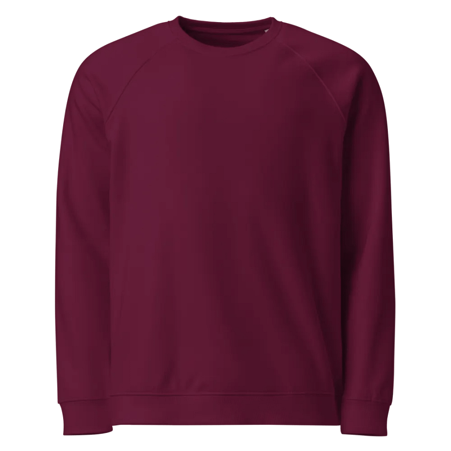Plain Color Burgundy Raglan Sweatshirt product image (5)
