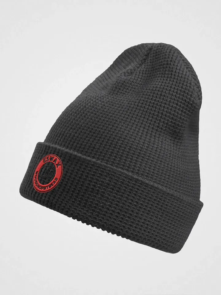 eswa collab beannie product image (2)