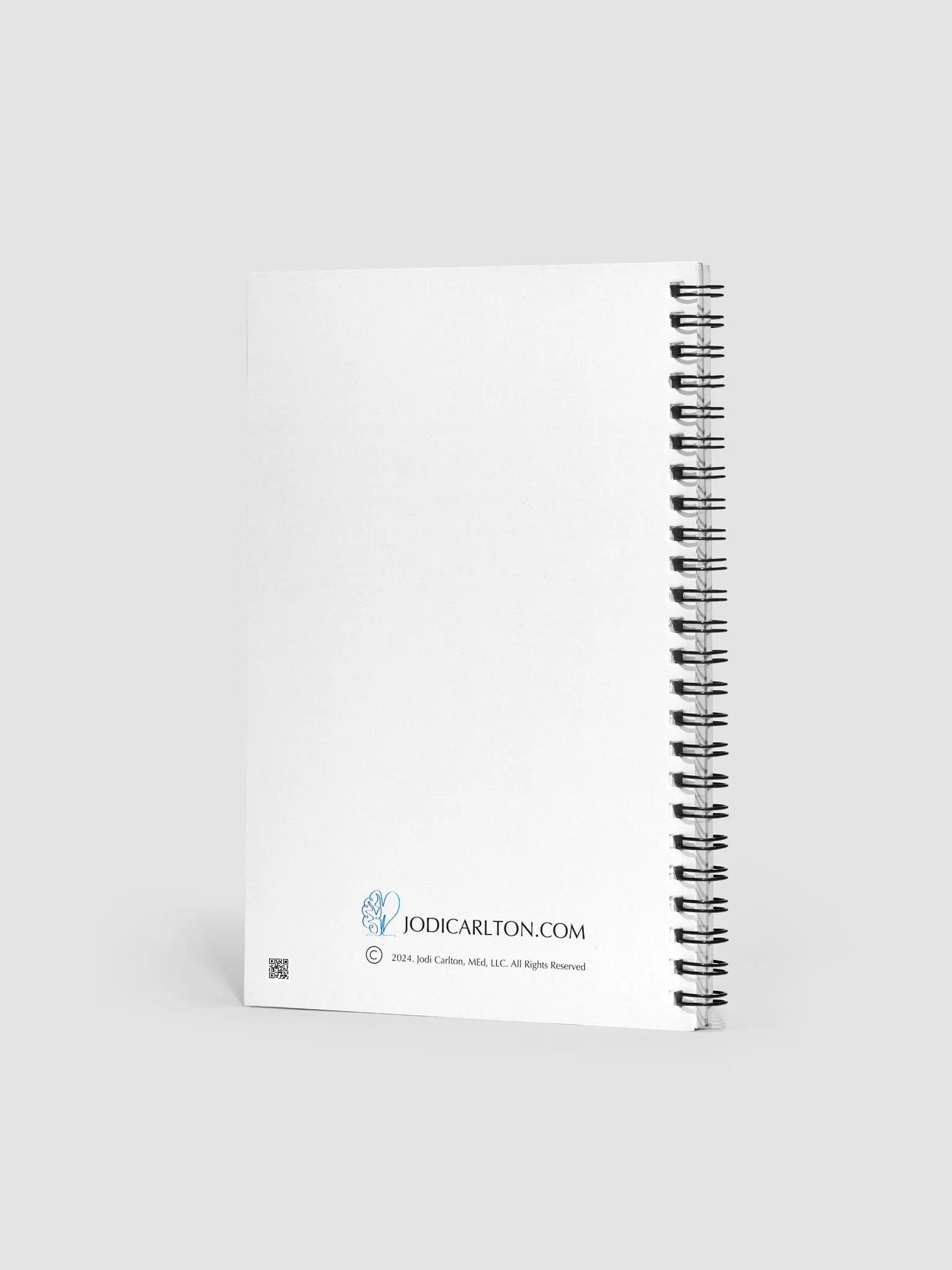 Journal - Different, Not Less product image (2)