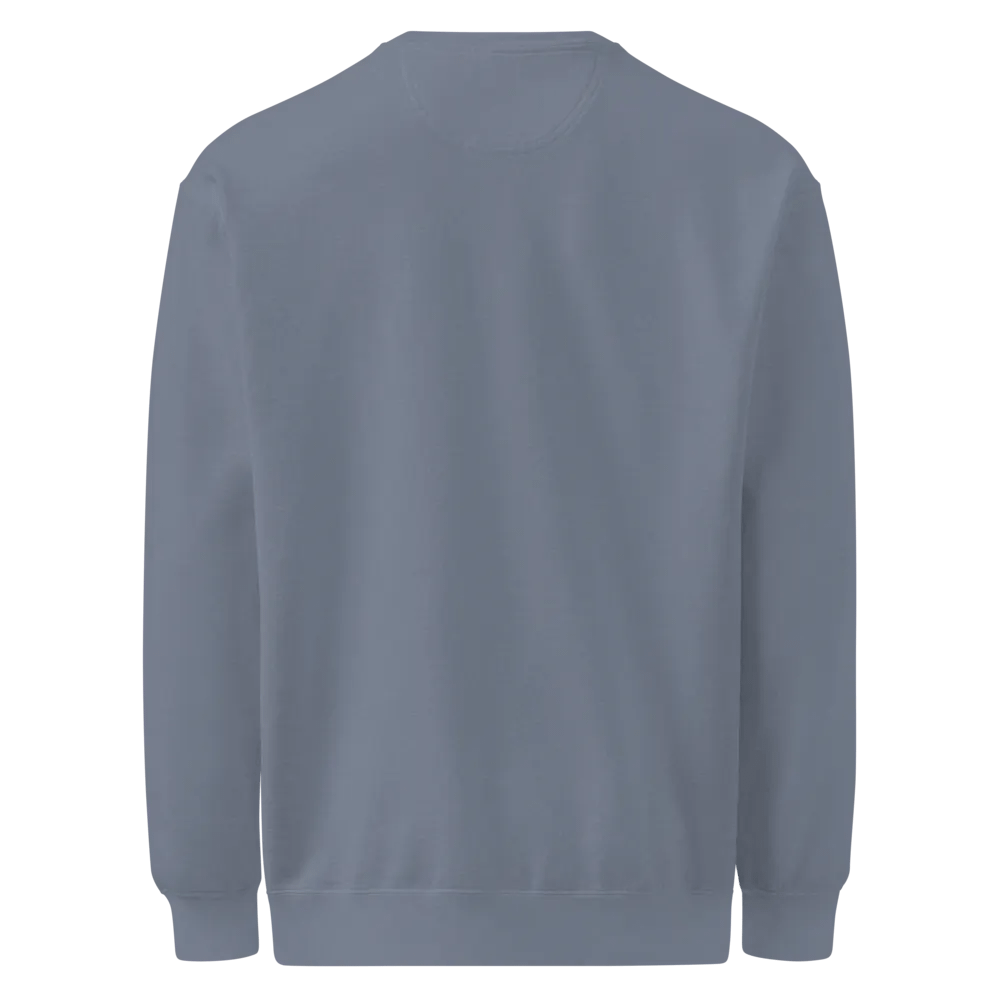 Raikesy Sweater Blue Logo product image (2)