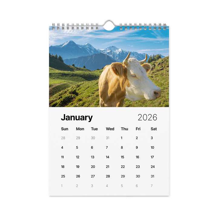Swiss Cow Calendar 2026 product image (2)