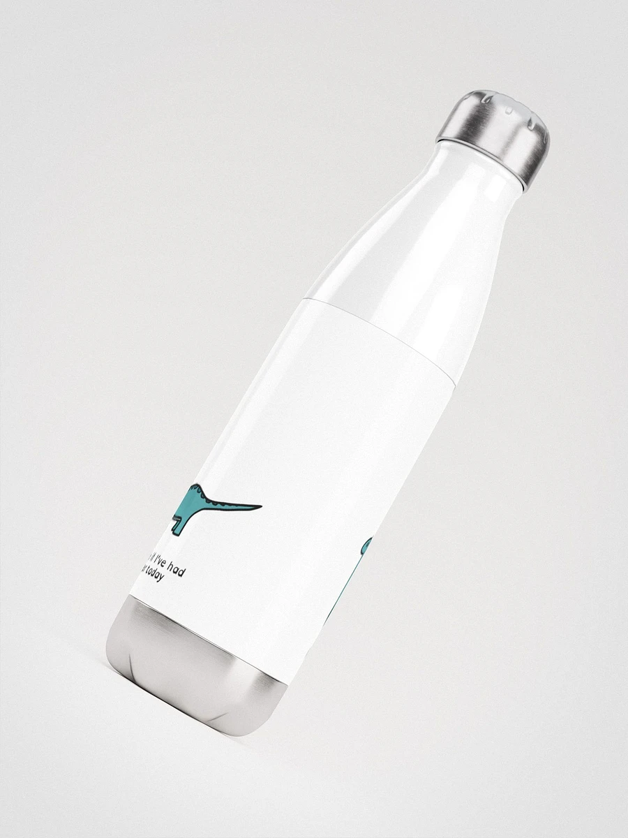 Ask me if I've had water today - Steel Water Bottle product image (6)