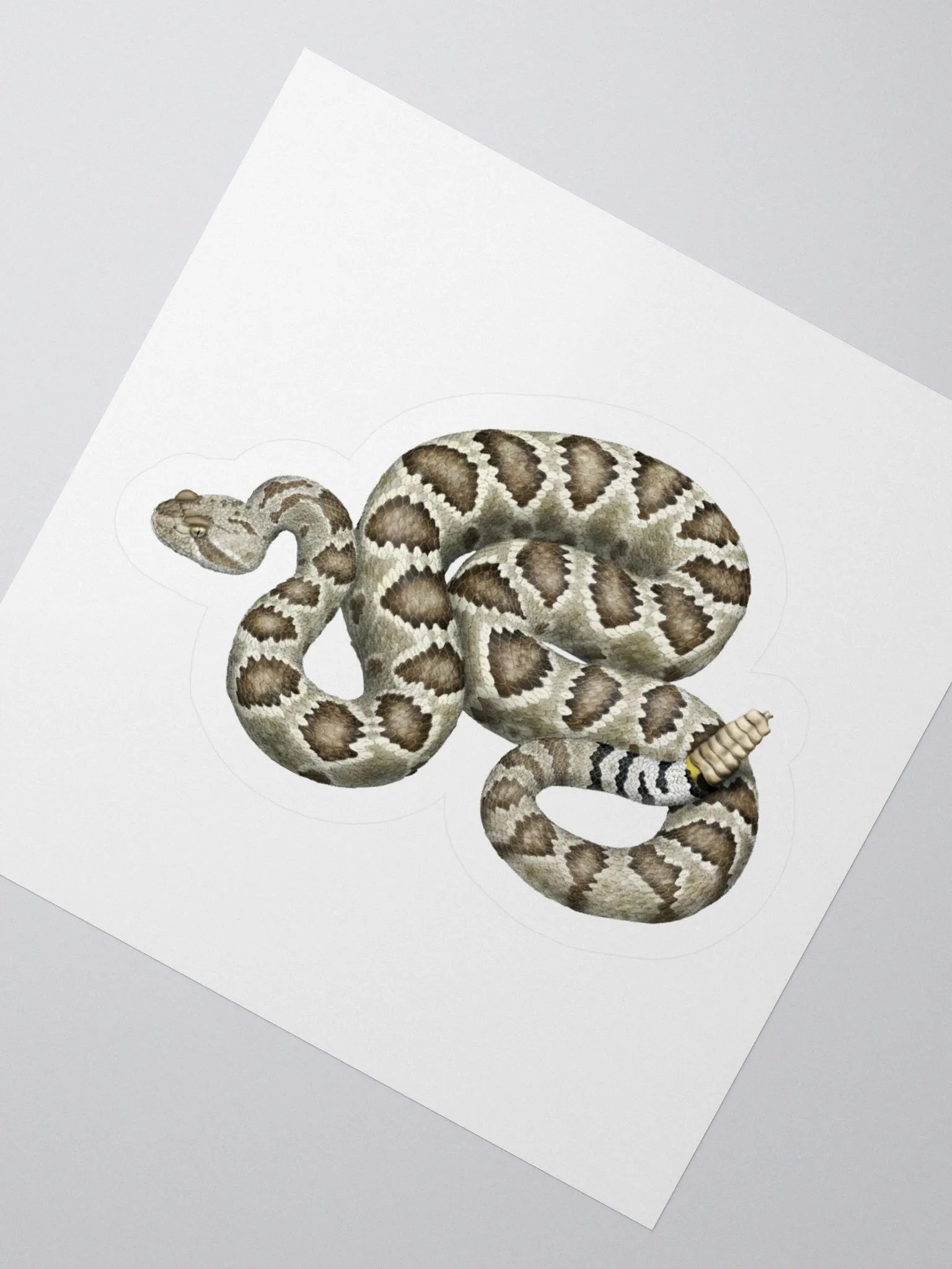 Die-Cut Sticker – Mojave Rattlesnake product image (2)
