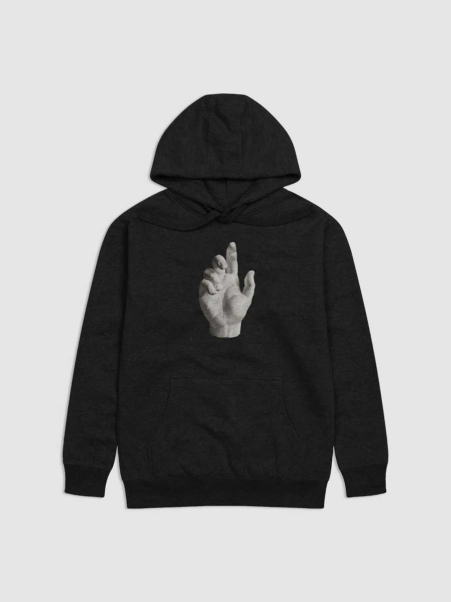 Elevate Unisex Premium Hoodie product image (5)