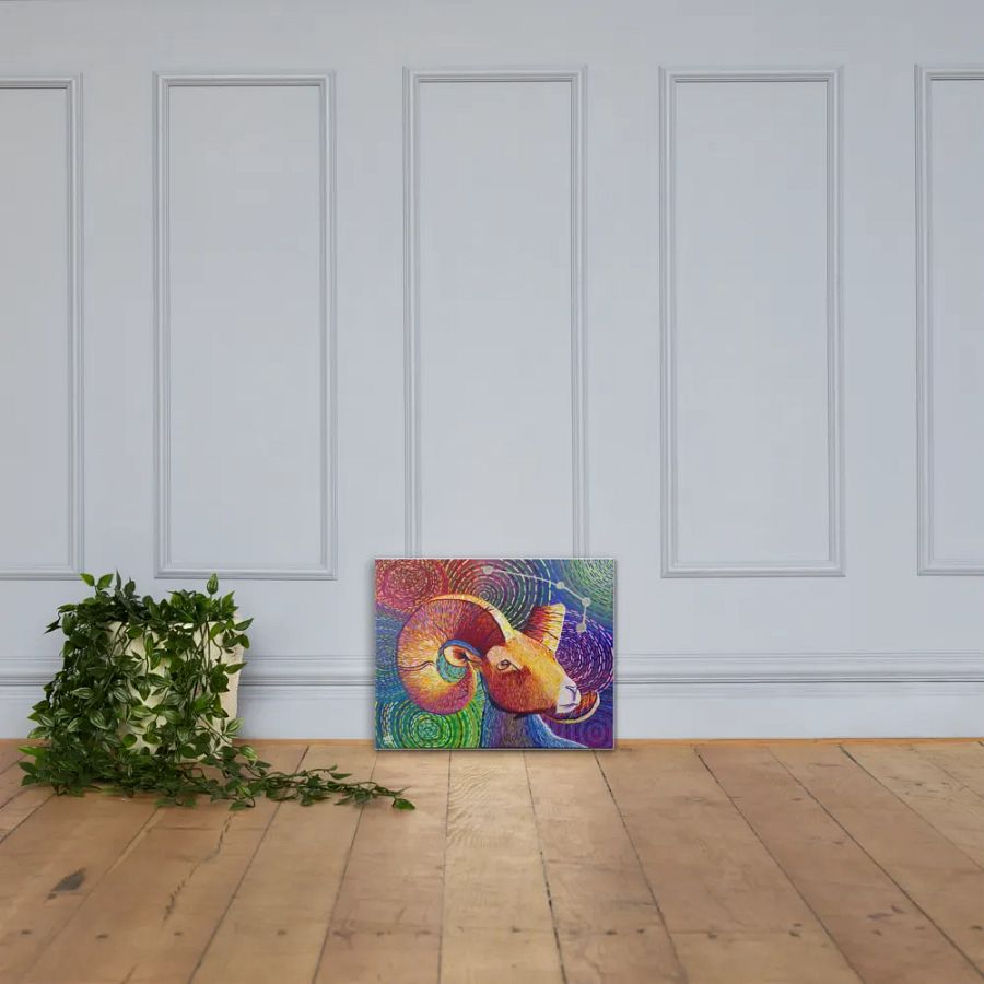 Aries Aurora product image (4)