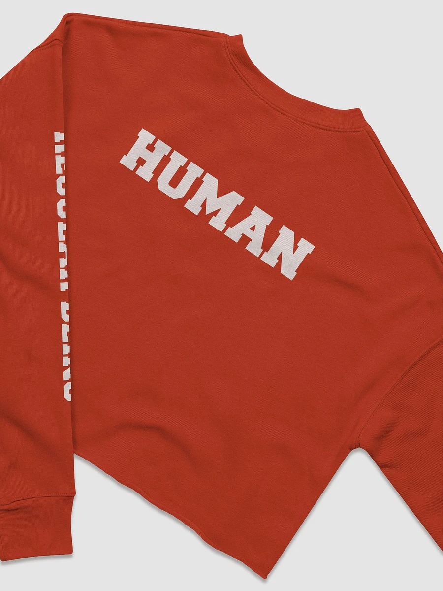 (2 sided) Ordinary Human crop sweatshirt product image (22)