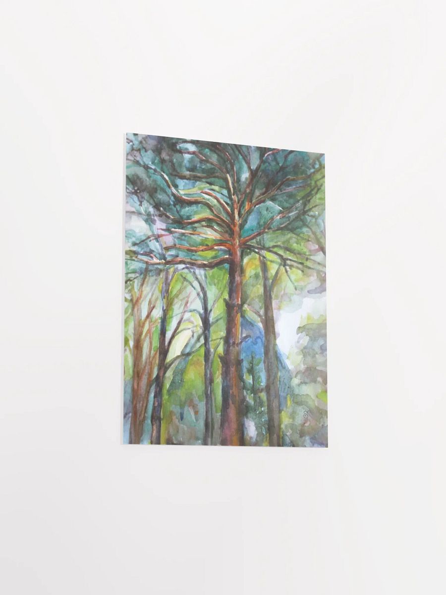 Enchanted Forest Watercolor Poster - Dacha Pine product image (6)