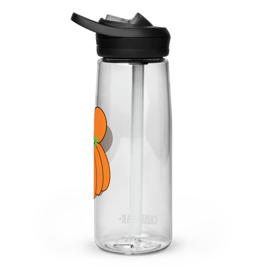 Mickey's Pumpkin Patch Pal Camelback Water Bottle product image (4)