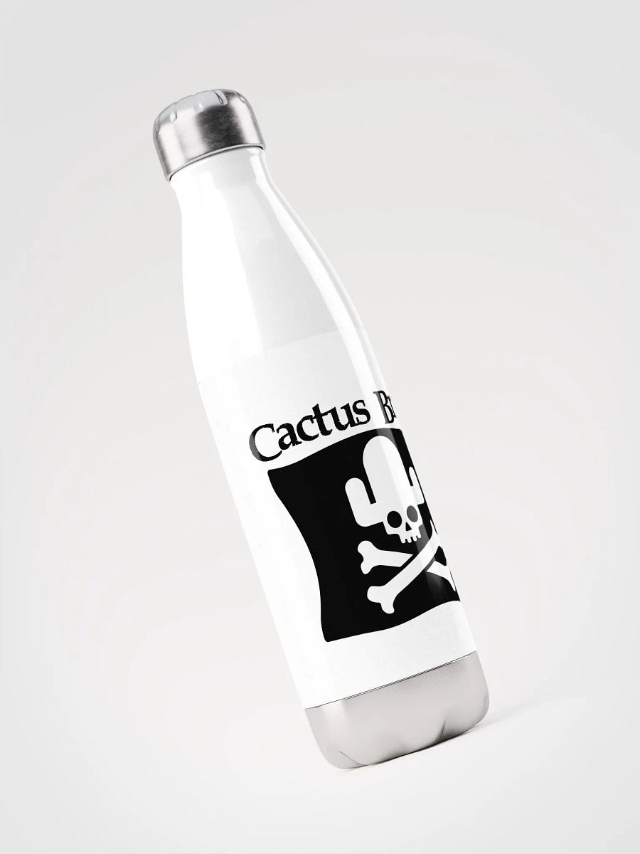 Cactus Brick (Stainless Steel Water Bottle) - Pirate Flag product image (1)