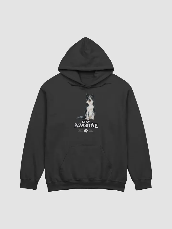 Dog - Stay Pawsitive Hoodie product image (1)