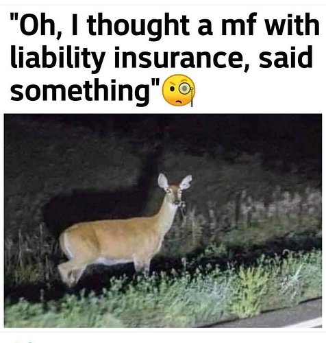 If you’re in deer country be ready!!! #insuranceagentmemes #deer #liability