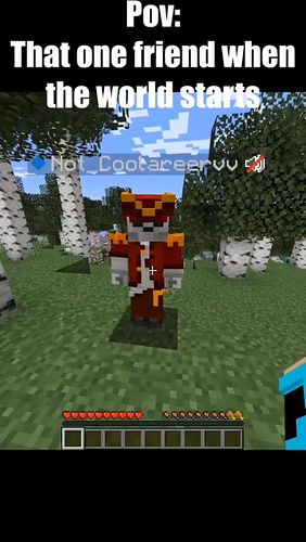 Pov that one friend #memes #minecraft #fyp