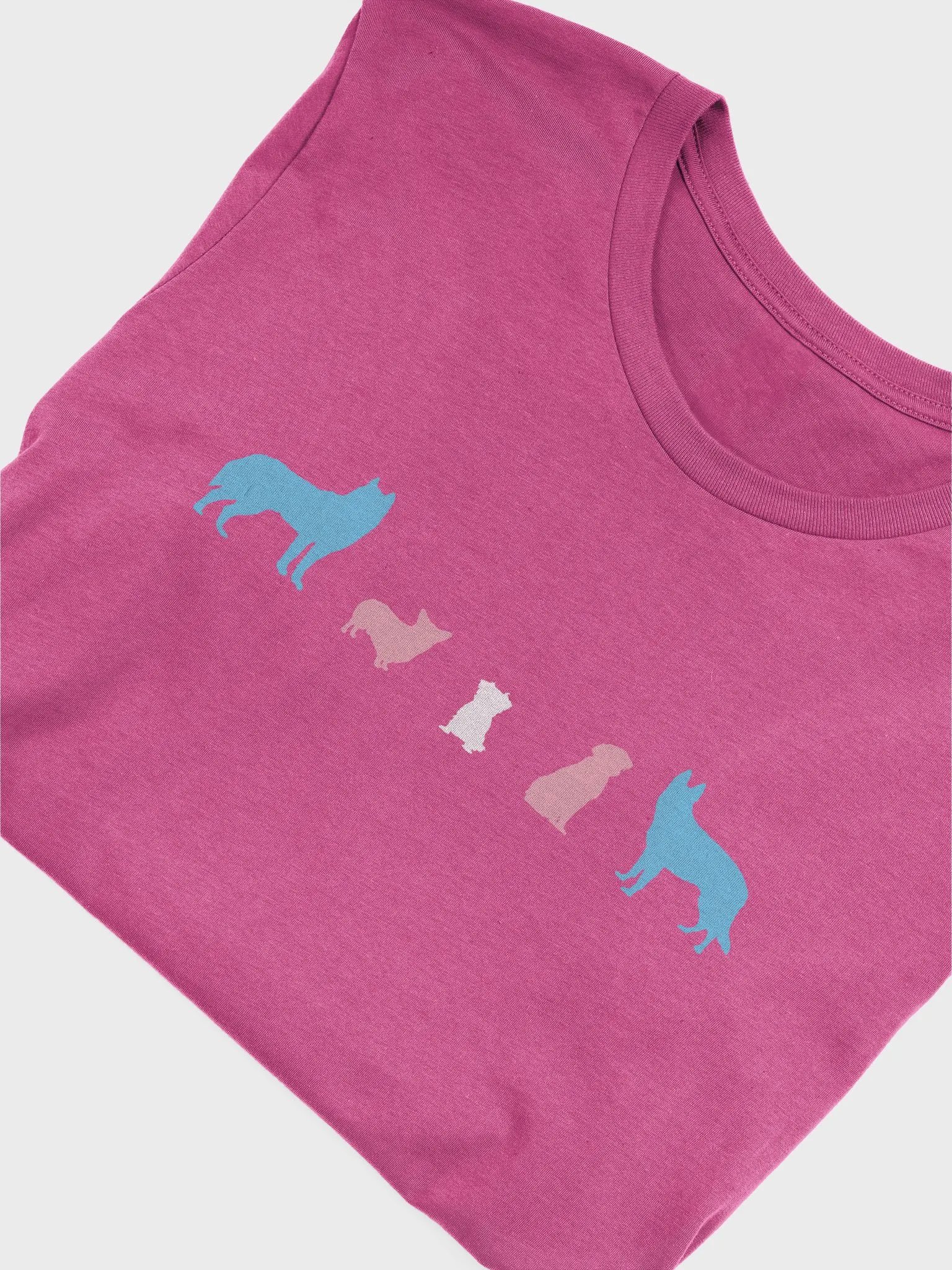 Transgender Pride Dogs Women's Shirt product image (48)