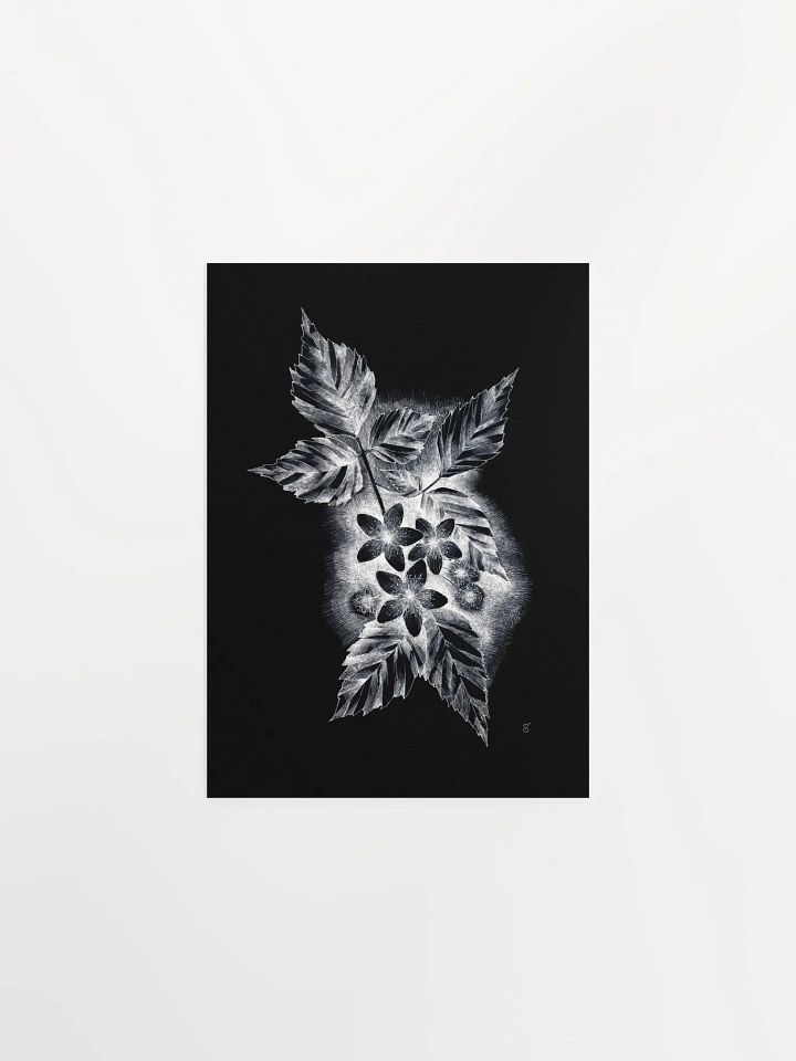 Botanical Bliss Matte Poster - Dark Jasmine product image (1)