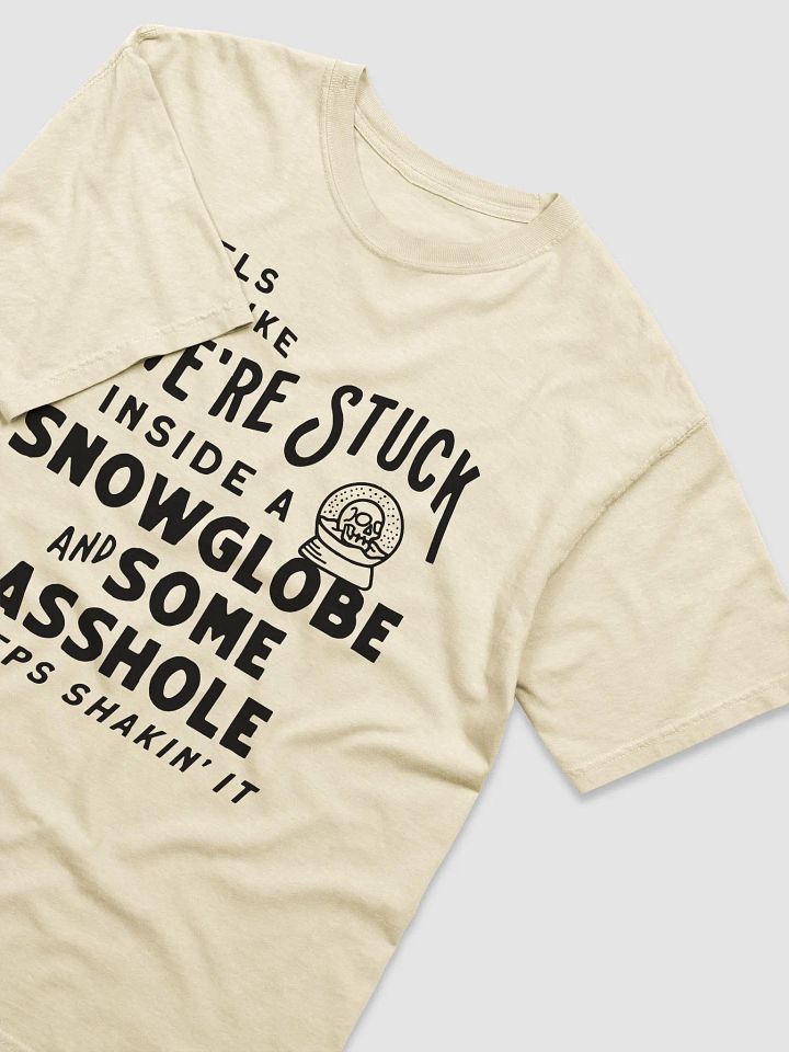 Snowglobe Heavyweight Tee (Light) (BB x CC) product image (2)