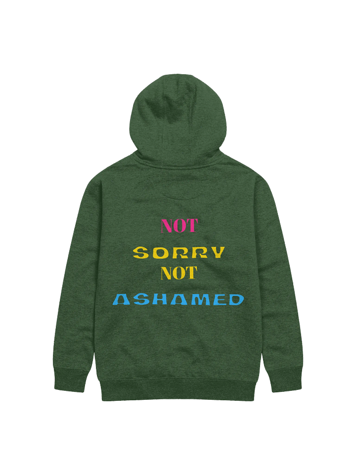 Not Sorry Not Ashamed (Pan Edition) product image (2)