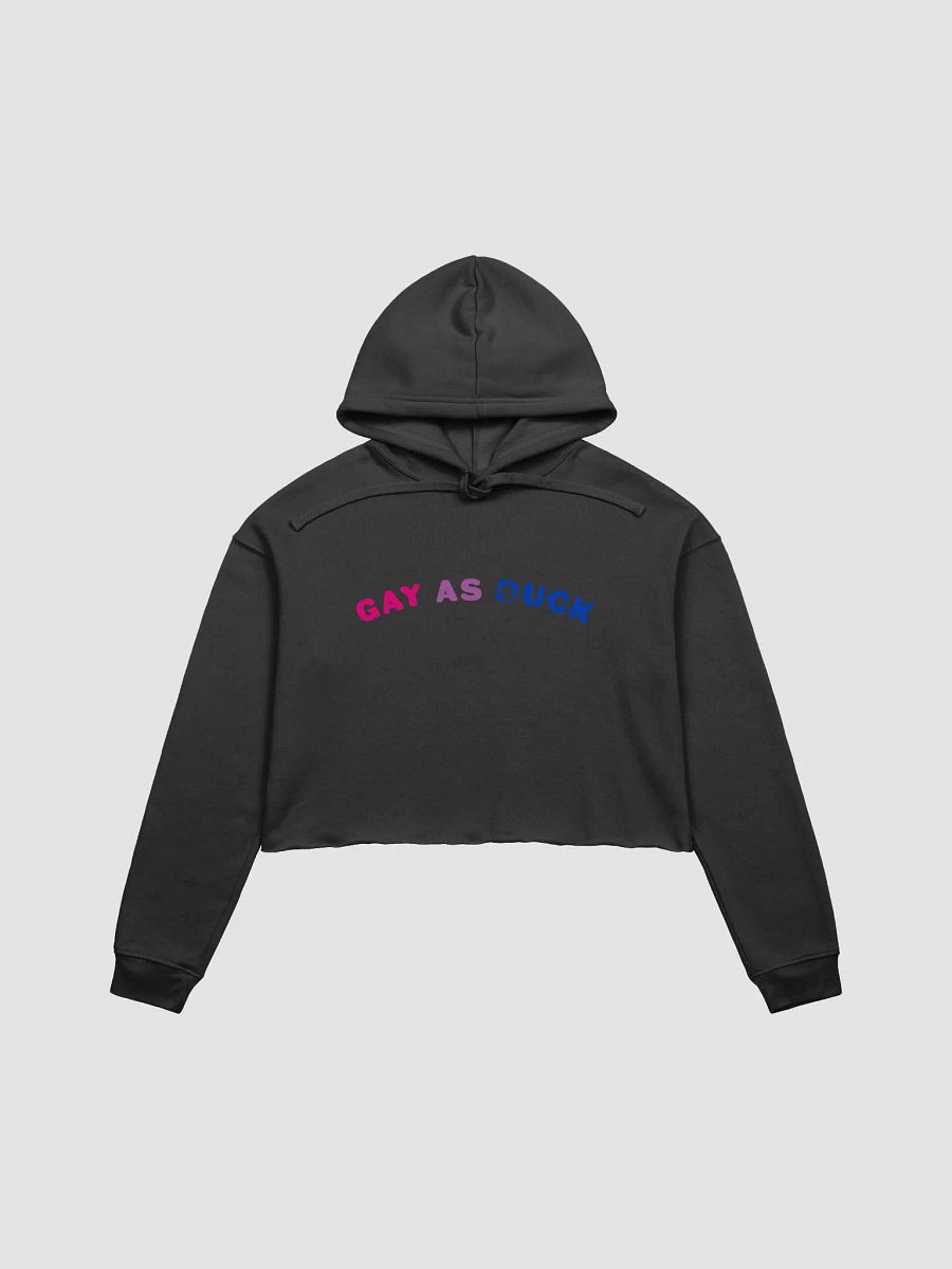 Gay As Duck Crop Hoodie - Bi product image (1)