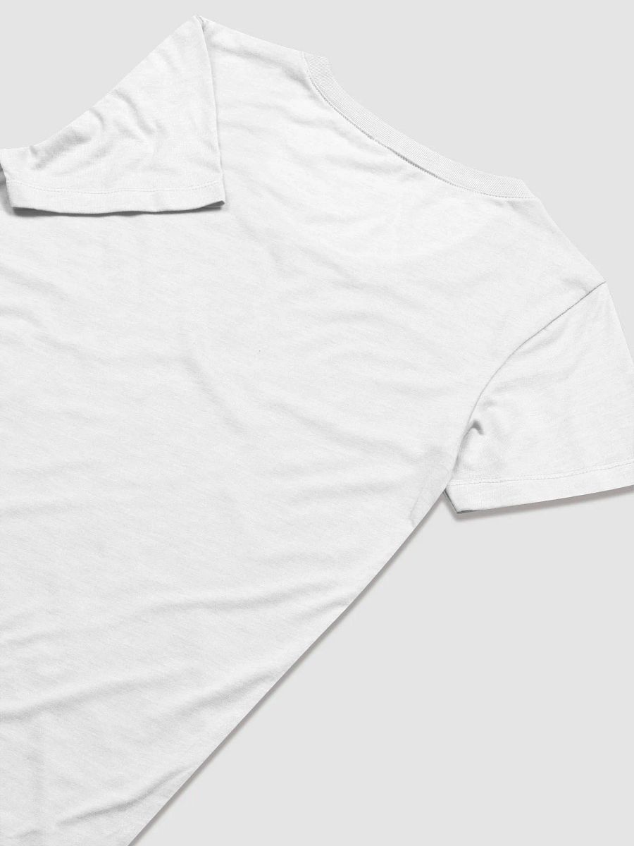 (Fake) Pocket Hoarding - Ladies' Triblend T-Shirt product image (7)