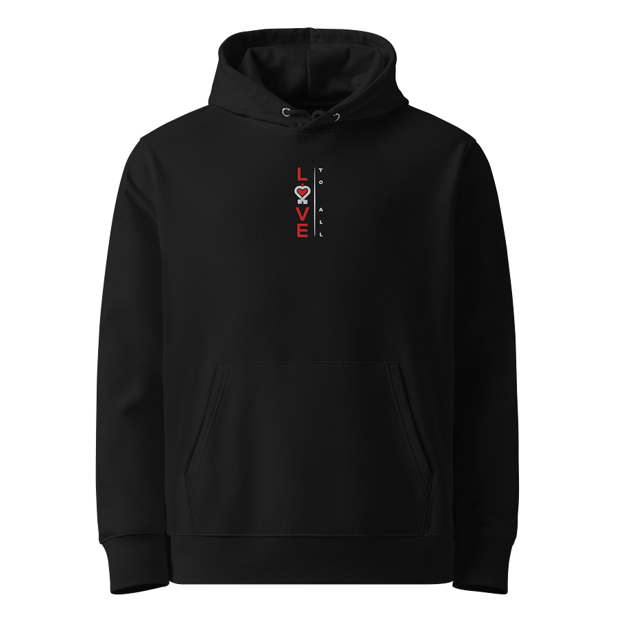 L2A 2025 Embroidered Plus Sized Hoodie product image (2)